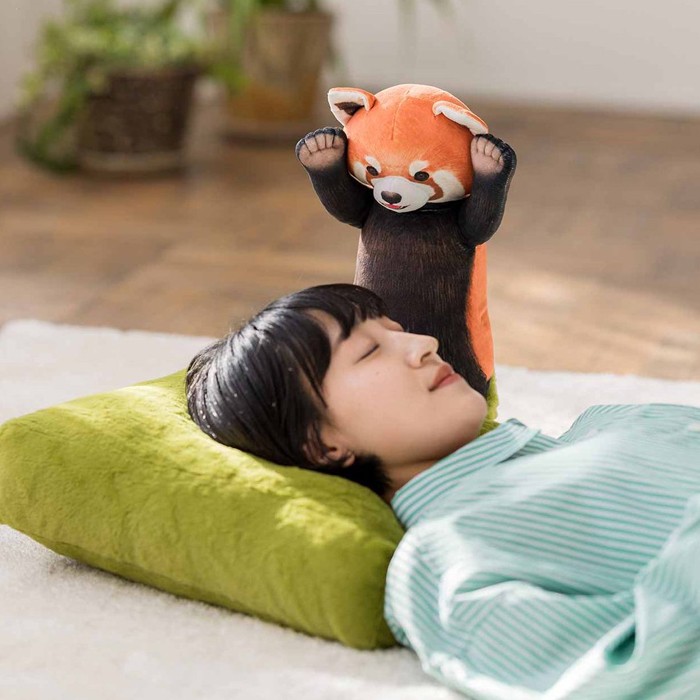 なんでや…」レッサーパンダに威嚇されるお昼寝用クッション 「とても
