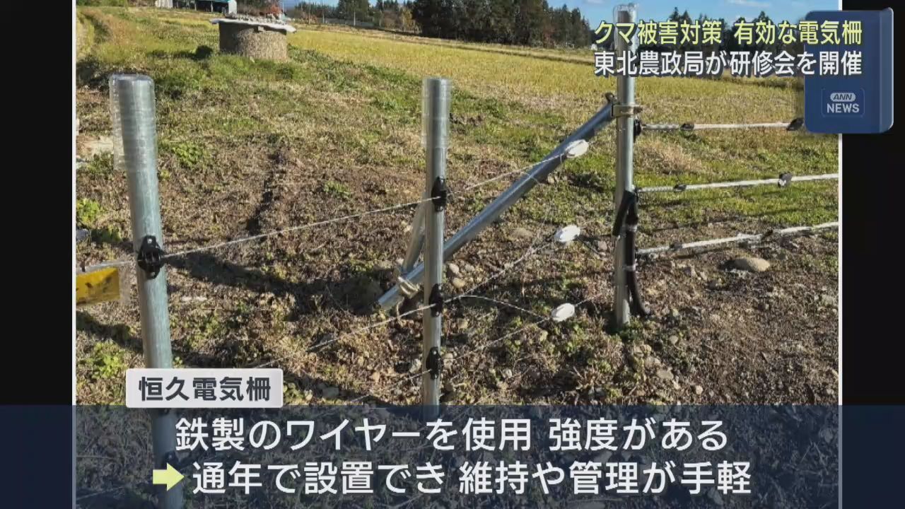 クマ被害対策　東北農政局が自治体向けに研修会　冬も有効な電気柵を紹介