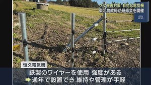 クマ被害対策　東北農政局が自治体向けに研修会　冬も有効な電気柵を紹介