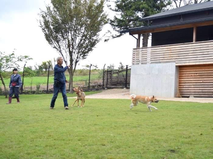 アミティエのドッグラン