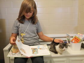 シェルターの保護猫に子どもが読み聞かせ　短時間で距離が縮まった！アメリカでの試み
