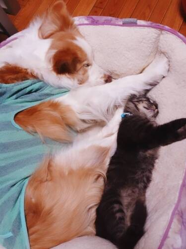 賢斗おじちゃん、優しくって大好き！（多恵子さん提供）