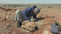 岡山理科大学―モンゴル共同調査隊提供