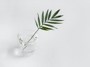 浮気で裏切りたくなくて、誠実に別れるしかなかった。その後、心を開けた人はいない