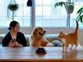 多頭飼いで借家住まい、なのにおしゃれ！　その理由は夫婦で楽しむ「手作り」