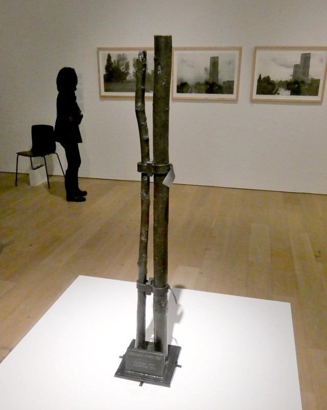 伐採された樹木を題材にしたキース・コヴェントリーの作品（京都市左京区・市京セラ美術館）