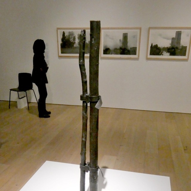伐採された樹木を題材にしたキース・コヴェントリーの作品（京都市左京区・市京セラ美術館）