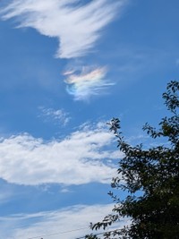 撮影：シルバーさん（午後1時24分・坂出市）ウェザーニューズ提供