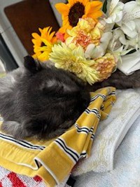 ジャック、またね。また会おうね。