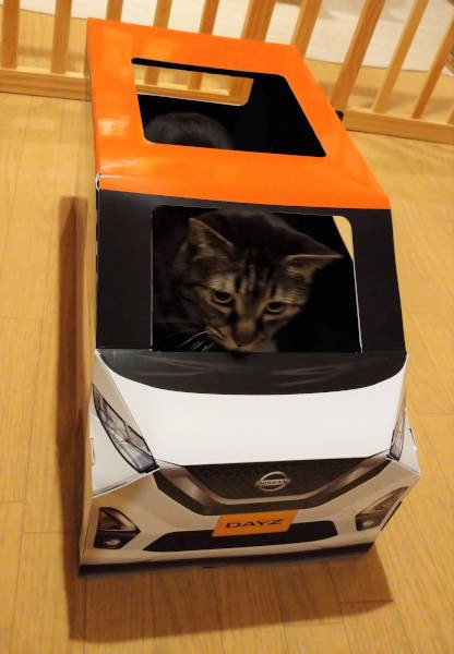 モモも少しだけ入ってくれました