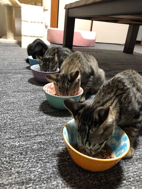 何をするにも一緒