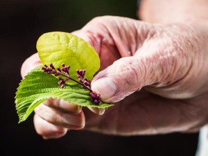 母の悪態「25歳は売れ残り」。ぐーたらしていら、親友に彼氏ができてるやないかい