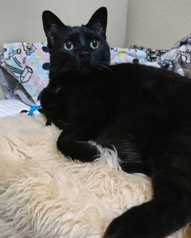 一生懸命話を聞くような表情がいじらしい