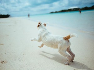 主人公から受けた衝撃。いつの間にか「私」を作っていた１冊の本