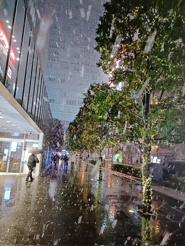 お正月の寒波の影響で雪が降った東京。訪日中だった海翼さんにとって初めての雪に（画像提供：海翼（カイ ヨク）さん）
