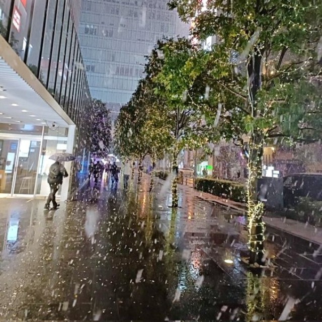 お正月の寒波の影響で雪が降った東京。訪日中だった海翼さんにとって初めての雪に（画像提供：海翼（カイ ヨク）さん）