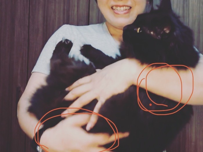 赤い印をポイントに、「包む」ように抱くのがポイント。抱きごこちがよさそうなジジ（辻さん提供）