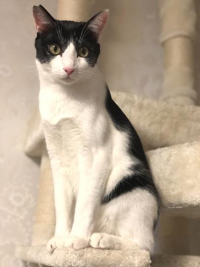 大きく美しく成長したひたちくん