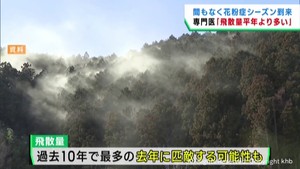 花粉シーズン到来へ　平年を上回る飛散量か