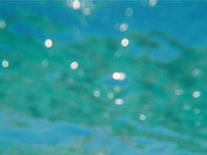 必要としてくれる会社はきっとある。面接する側になって分かったこと