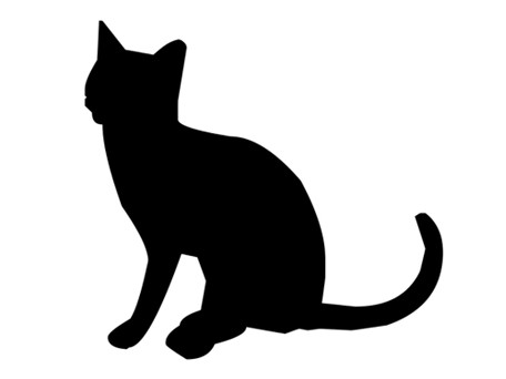 今度は猫の胴体が…？　頭部の見つかった小学校そば