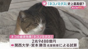 ネコノミクス　猫の経済効果が過去最大に