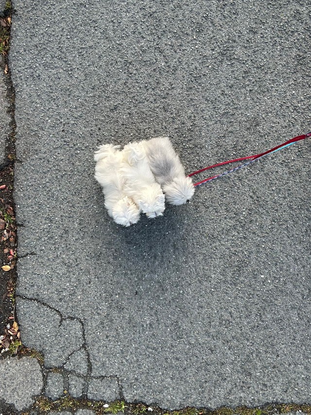 三貫まとめて一丁上がり