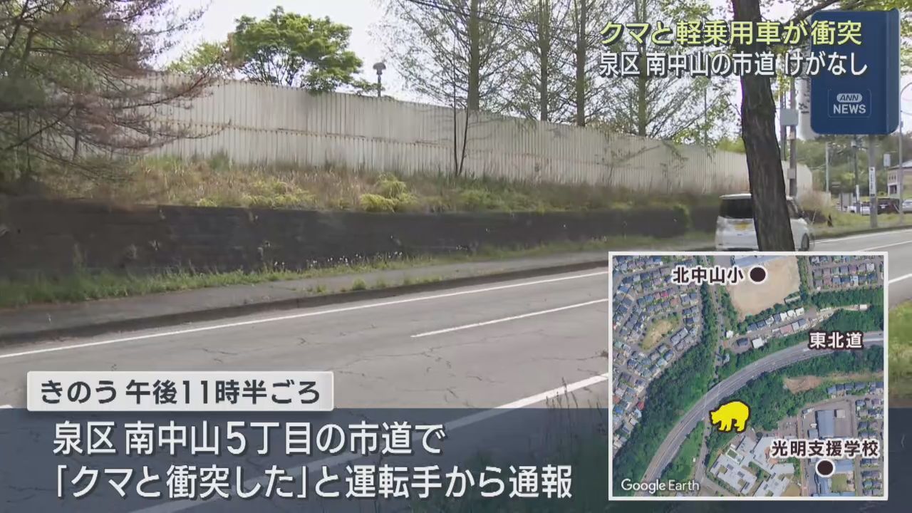クマと乗用車が衝突　運転男性にけが無し　仙台・泉区