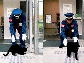 美術館の常連猫２匹、フォトブックに　火付け役はツイッター