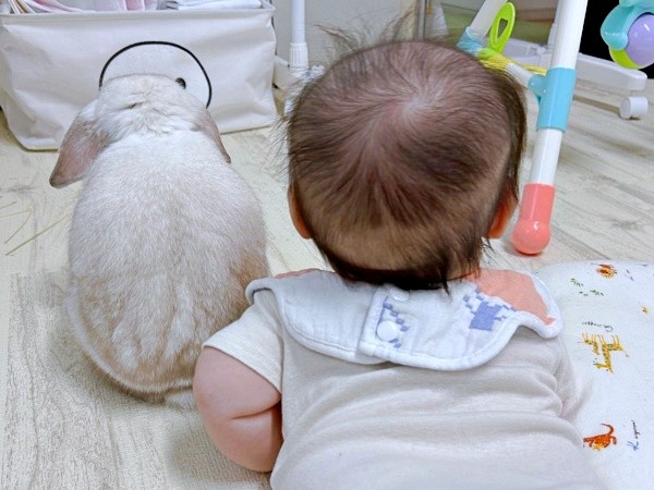 兄弟の背中が尊い！ まふぃんくんと息子さん（画像提供：まふぃん君さん）