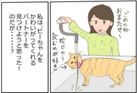 一緒にピーちゃんをかわいがってくれる相手をみつけようとしていたヨスコスさん（ヨスコスさん提供）