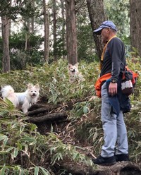シフォンちゃんも桜夢ちゃんも山登りが大好き
