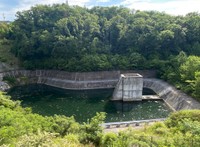 森の中の貯水池は岸がコンクリートで覆われ産卵できない