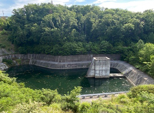 森の中の貯水池は岸がコンクリートで覆われ産卵できない