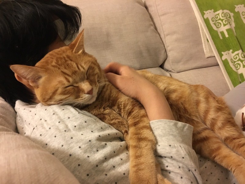 「ラファは甘えるときに私のことを呼び出すんです」とkuuさん（kuuさん提供）