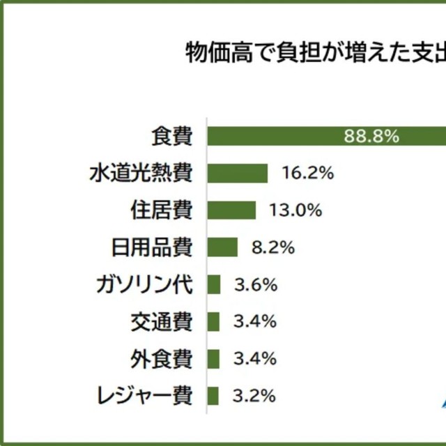 物価高で負担が増えた支出（提供画像）