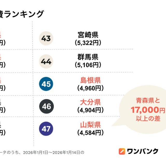 2026年年始居酒屋出費ランキング（提供画像）