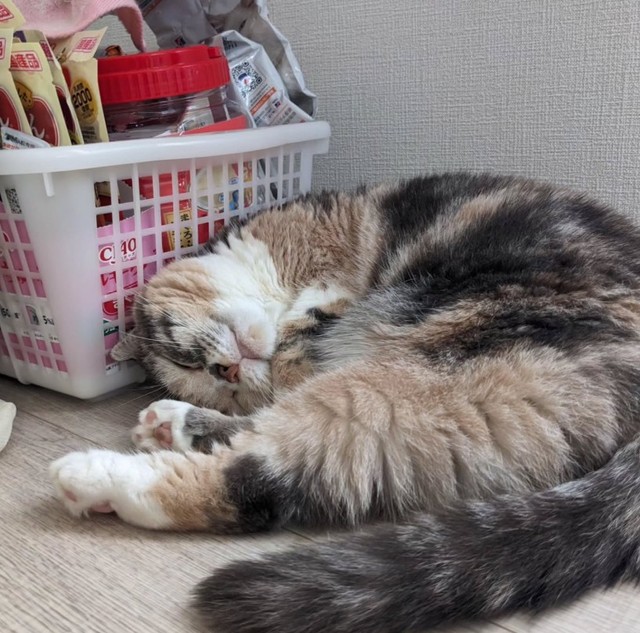 幼少期に心臓の検査はしていたため、先天性ではない