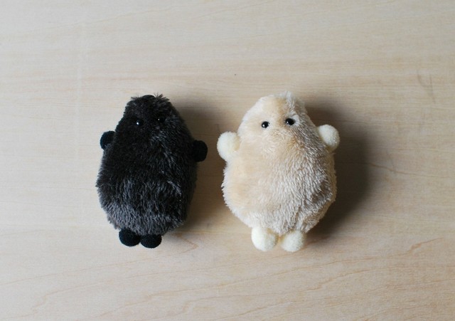 空想アパートメント スイカのたね ぬいぐるみ カネヒラ なにこの黒い物体？実は、スイカの「種」のぬいぐるみ！じわじわ迫る