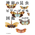 「神秘の昆虫　ビワハゴロモ図鑑」　空飛ぶ水彩画、美しさは自然の賜物