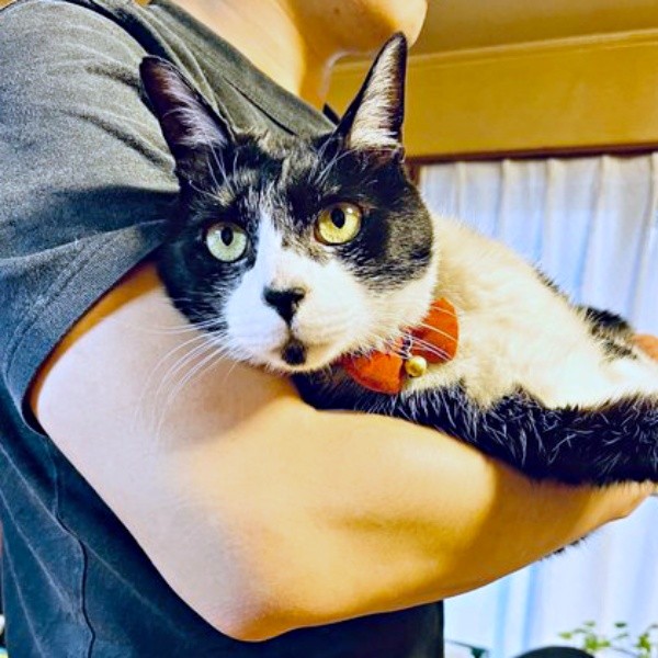 パパに抱っこされるこてつくん（画像提供：お母ちゃん こてつ ぜんさん）