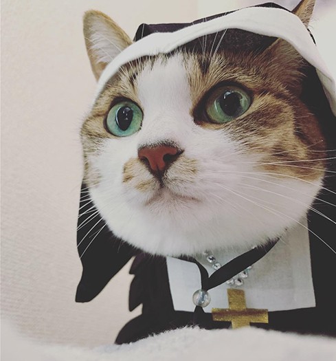 シスターのコスプレよ！