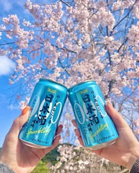 お花見にも、アウトドアにも。「のんあるこーる日本酒風味 Sparkling」（画像提供：株式会社チェリオコーポレーション）