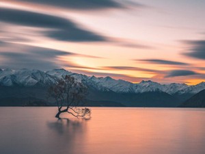 「浮気体質直したいから病院に行って来る」と挙式2ヶ月半後に言われた