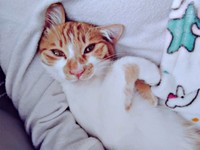 家族に見守られながらすくすくと成長中のもずくくん（画像提供：mさん）