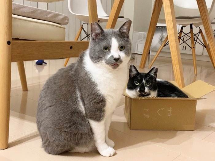 くまおとこぐま