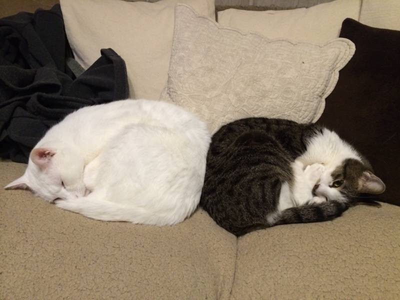 珍しい仲良しショット