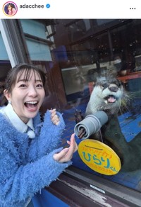 足立梨花インスタグラム（＠adacchee）より