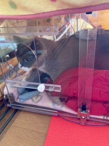 手術までの間は酸素室をレンタルしてサポート