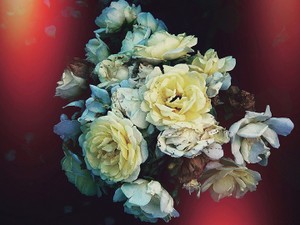 「ブスのラベルは彼しか剝がせない」思い込んでいた私。本当の願いに気づいた